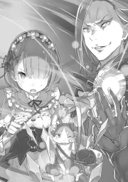 Re Zero Light Novel 14 13