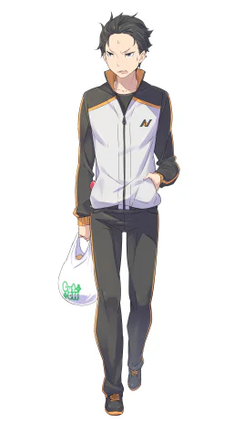 Light Novel