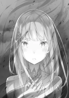 Re Zero Light Novel 13 5