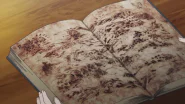 The world map illustrated within a book read by Subaru.
