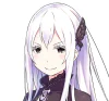 Echidna