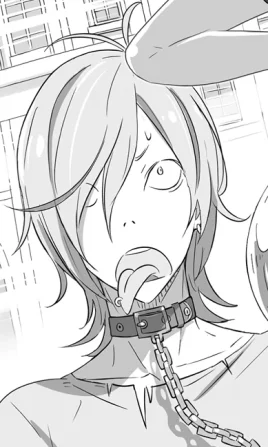 Light Novel