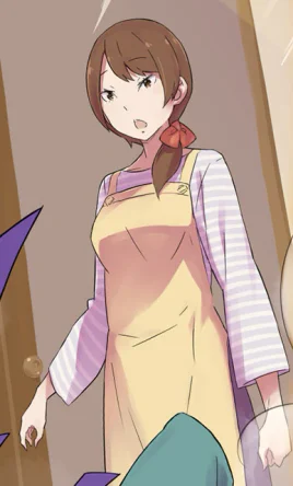 Light Novel