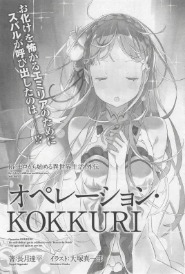 Re Zero Operation KOKKURI SS