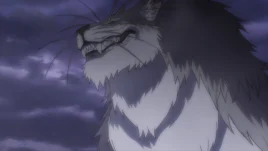 <b>Anime (Star Beast)</b>